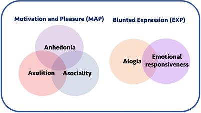 Mechanisms Underlying Motivational Dysfunction in Schizophrenia
